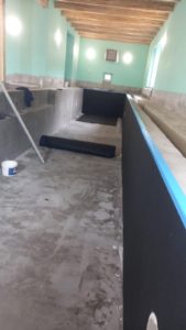 г. Березовский бассейн 12х4